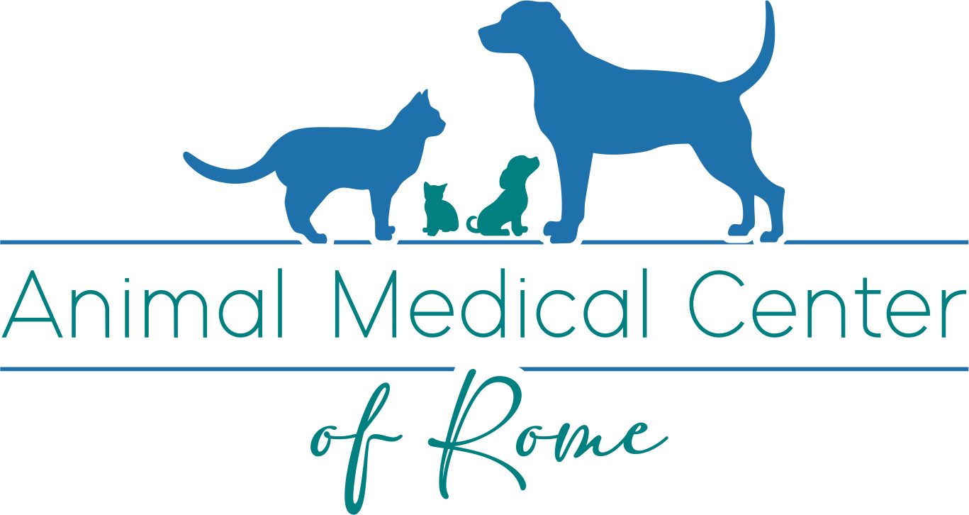 Animal Medical Center of Rome
